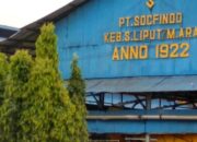 Sungai Liput Kejuruan Muda Aceh Tamiang, Pabrik Kelapa Sawit Pertama