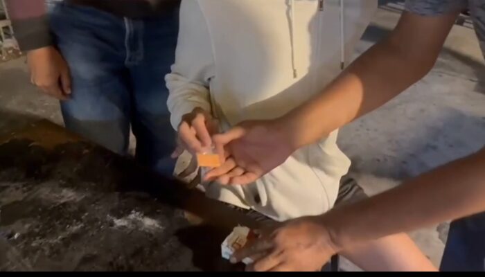 Tim Direktorat Reserse Narkoba Polda Sumut, Tangkap Mahasiswa Edarkan Ekstasi