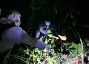 Mayat Mr X Ditemukan Nyaris Tinggal Kerangka di Aliran Mata Air Kebun Karet