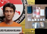 Sat Narkoba Polres Pelabuhan Belawan Tangkap Pengedar Sabu di Desa Manunggal