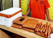 Nekat Edarkan Ganja Demi Rp300 Ribu, Pria 37 Tahun Diciduk Polisi