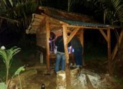 Polsek Batang Toru, Ciduk Pelaku Narkoba, Sabu dan Ganja Turut Diamankan