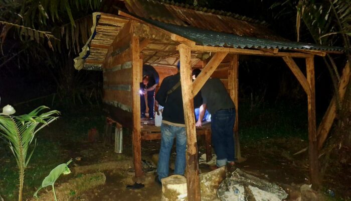 Polsek Batang Toru, Ciduk Pelaku Narkoba, Sabu dan Ganja Turut Diamankan
