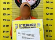 Satresnarkoba Polres Tapsel, Tangkap Wanita Pembawa Ganja Seberat 3 Kg Warga Asal Panyabungan