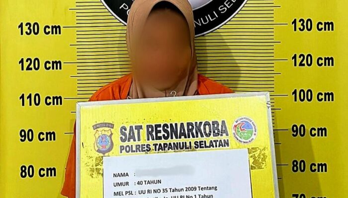 Satresnarkoba Polres Tapsel, Tangkap Wanita Pembawa Ganja Seberat 3 Kg Warga Asal Panyabungan