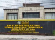Ayam Hasil Sitaan Balai Karantina Diduga Diperjual Belikan