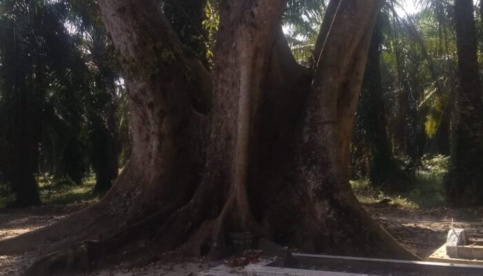 Musamus Keramat Ujung Rambung