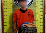 Ops Antik Toba 2026: Polisi Sita 1,9 Kg Ganja dari Pemuda di Sidimpuan