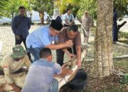 Kejari Deliserdang Berkurban, Daging Dibagikan Ke Tukang Becak ,Kebersihan Honorer, Purnaja Dan Masyarakat 