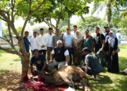 Rayakan Idul Adha,DPRD Deliserdang Sembelih 5 Ekor Sapi dan 1 Ekor Kambing