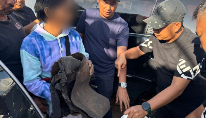 Polres Tapsel Berhasil Gagalkan Praktik Ilegal Perdagangan Bagian Tubuh Satwa Dilindungi