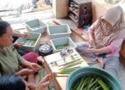 Purun Sedotan Ramah Lingkungan kearifan Budaya
