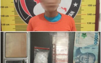 Satresnarkoba Polres Pelabuhan Belawan Ringkus Pengedar Narkoba, Sejumlah Barang Bukti Turut Diamankan 