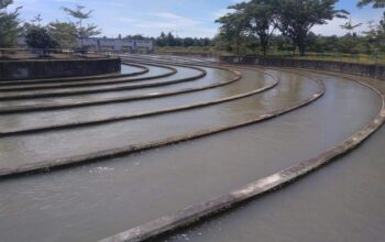 Desa Pulau Tagor Wisata Sejarah