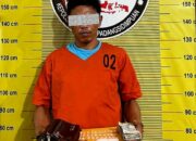 Pemilik 37,47 Gram Sabu di Sidimpuan Mengaku 2 Bulan jadi Pengedar 
