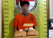 Transaksi 2 Kg Ganja Digagalkan Polisi Padangsidimpuan 
