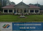 Dugaan Korupsi di Kebun Sei Putih PTPN-IV Regional I, Polisi Periksa Asisten Afdeling I
