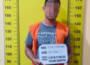 Bawa Ganja,Warga Galang Diringkus Satnarkoba Polresta Deliserdang 