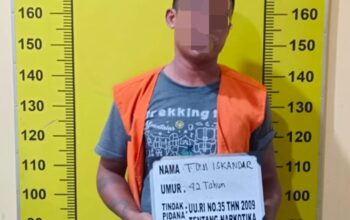Bawa Ganja,Warga Galang Diringkus Satnarkoba Polresta Deliserdang 