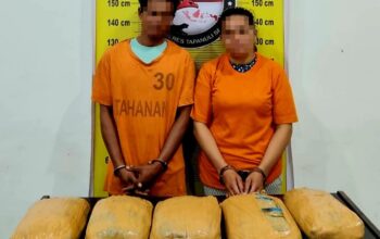 Polisi Tangkap Pasangan Suami Istri, Seberat 5 Kg Daun Ganja Turut Diamankan