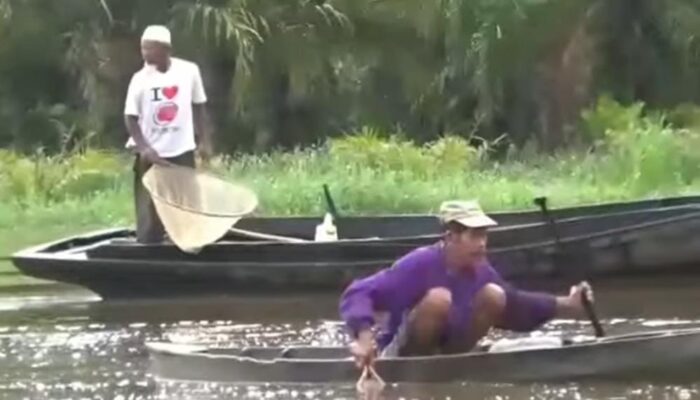 Muncul Dua Kali Dalam Setahun Saat Musim Panen Padi, Ikan Gamak di Sungai Bilah Labuhanbatu, Capai 40 Ribu per Ons