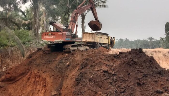 Galian C Ilegal Tanah Uruk Marak Di Kecamatan Setia Janji