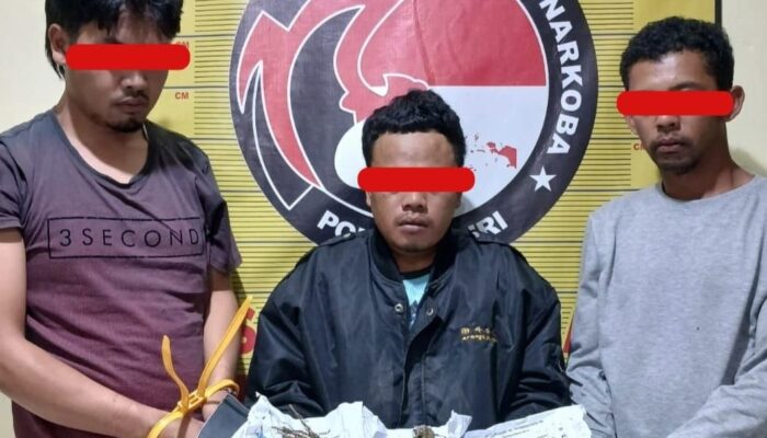 Sat Narkoba Polres Dairi, Meringkus 3 Pelaku Sebagai Kurir dan Pemasok Ganja