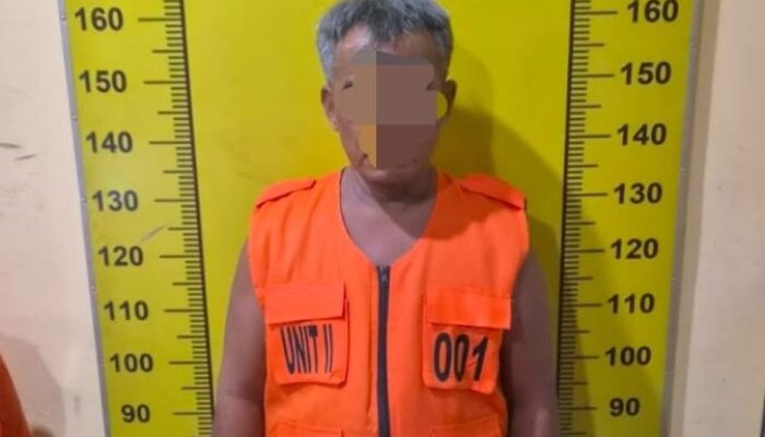 Bawa Sabu, Satresnarkoba Polresta Deli Serdang Ringkus Pria Paruh Baya