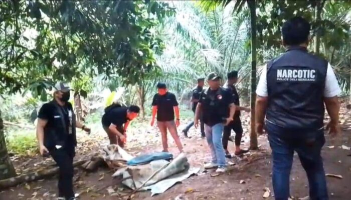 Grebek Sarang Narkoba di Kecamatan Biru-Biru, Satresnarkoba Polresta Deli Serdang Ringkus Pengguna Narkoba