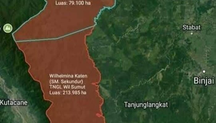 Hutan Adat Sikundur Kedatukan Besitang