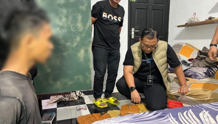 Polisi Gerebek Gudang Penyimpanan Narkoba Kandang Ayam, 18 Kilogram Ganja Disita dari 2 Sekawan