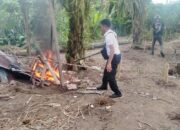 Polsek Medan Kota Bakar Barak Narkoba di Jalan Brigjen Katamso, Gang Nasional