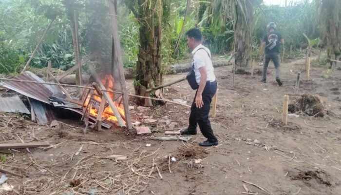 Polsek Medan Kota Bakar Barak Narkoba di Jalan Brigjen Katamso, Gang Nasional